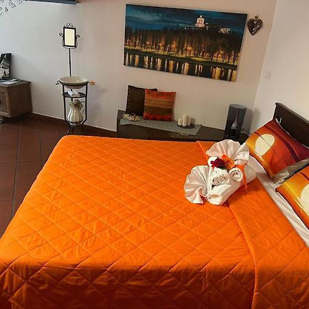 טורינו Historic Center Via Po Apartment מראה חיצוני תמונה